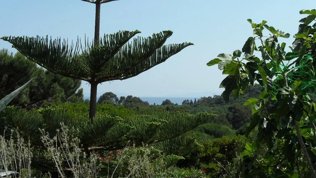 Apartment Villa Carpe Diem Le Lavandou France