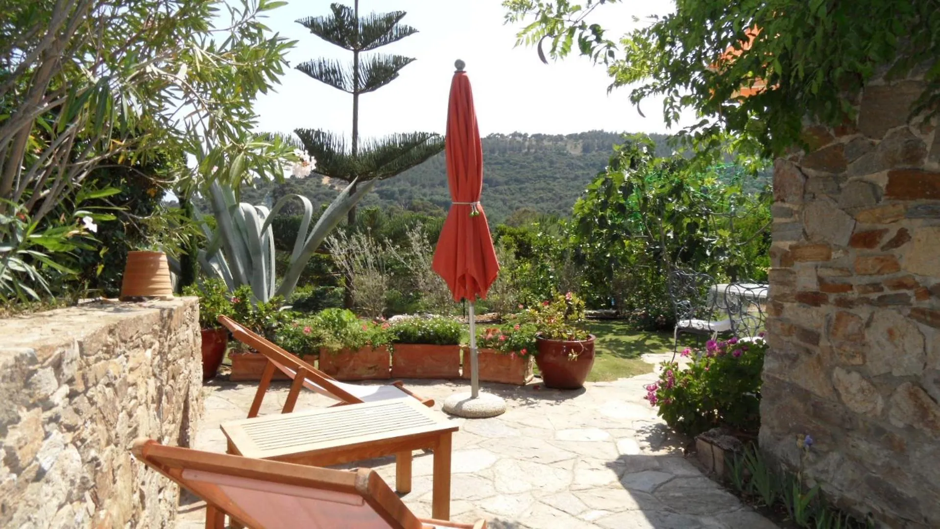 Villa Carpe Diem Le Lavandou Appartamento