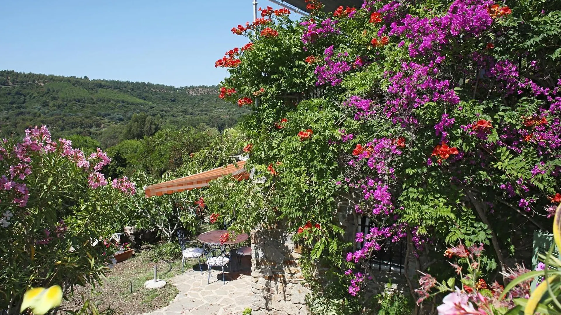 Villa Carpe Diem Le Lavandou